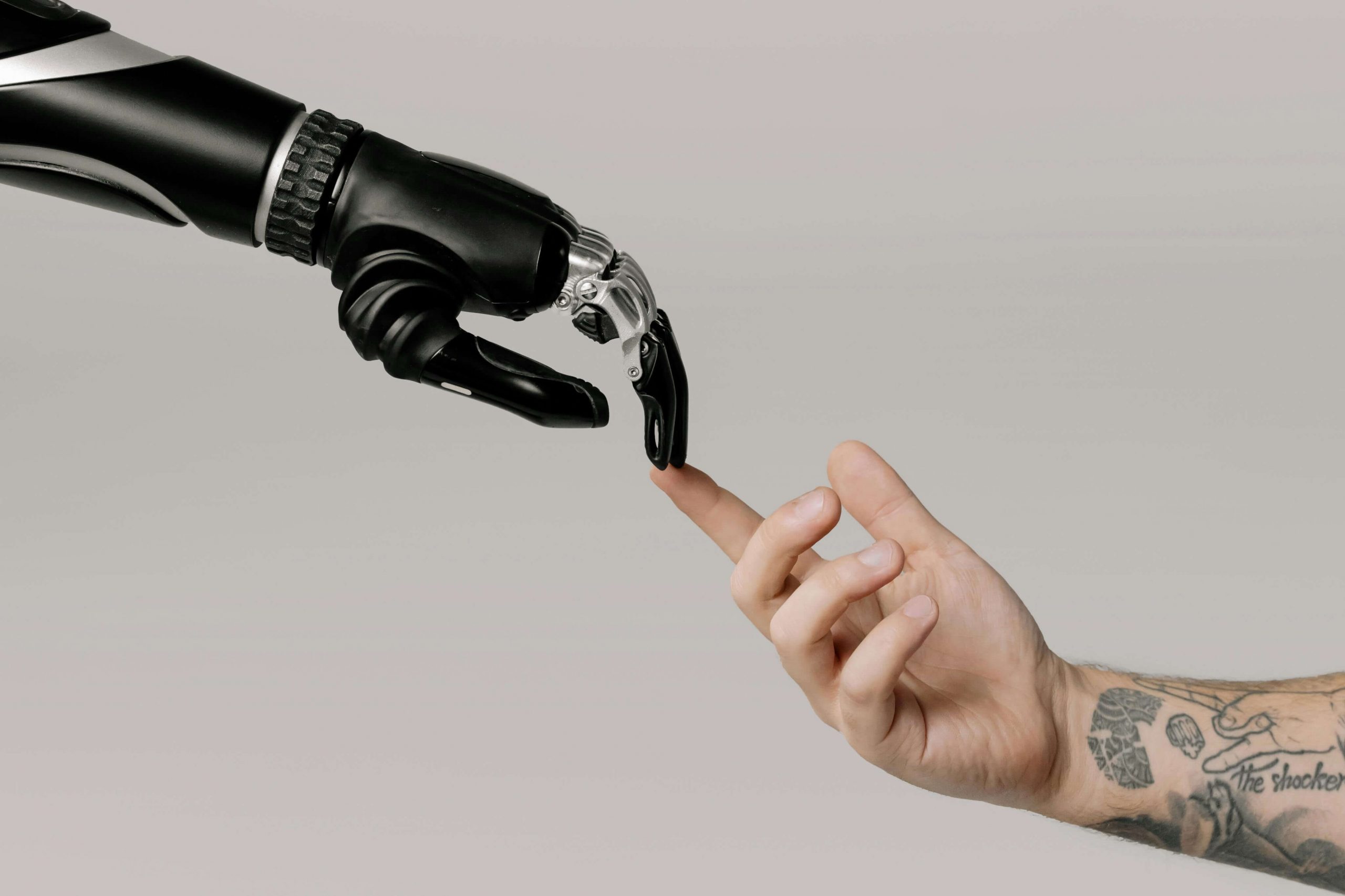 AI Assitant Development